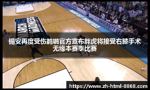 锡安再度受伤鹈鹕官方宣布胖虎将接受右膝手术无缘本赛季比赛